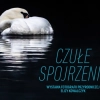 To inauguracja cyklu wydarzeń fotograficznych na terenie stanicy wodnej PTTK w Krutyni.